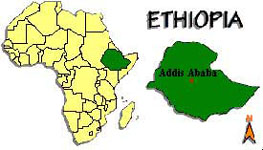 Ethiopia Coffee Production