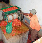 Coffee Pulping Process