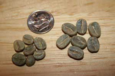 Supremo Grade Coffee Beans