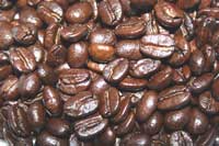 Costa Rican Tarrazu Coffee - 5LB