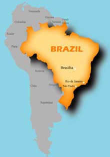 Image result for brazil coffee production