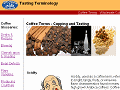 Coffee Terms - Cupping and Tasting