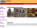Coffee Farming & Processing