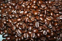 Zecuppa Espresso - 5LB