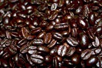 Decaf Sumatra - 5LB