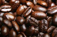 Sumatra Mandheling - 5LB