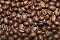 Tanzanian Peaberry - 5LB